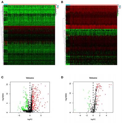 Establishment and Analysis of an Individualized Immune-Related Gene Signature for the Prognosis of Gastric Cancer